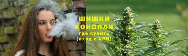 соль ск Горнозаводск