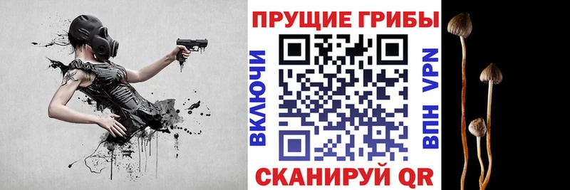 Купить где  Кукмор  Псилоцибиновые грибы мухоморы 