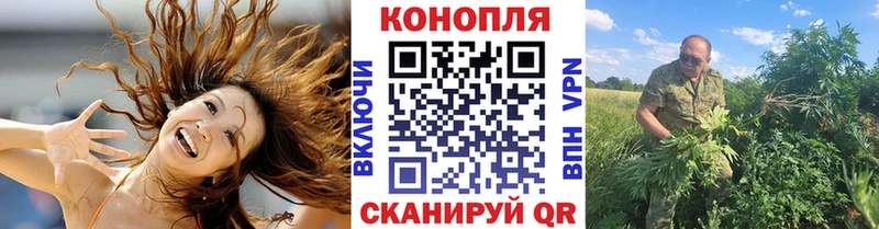 Шишки марихуана Bruce Banner  Купить где  Кукмор 